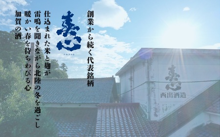 石川県産杉製の木桶で醸した純米酒 春心「生酒」 500ml