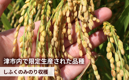 至福の一杯 5kg 令和7年産 米 お米 ご飯 飯 精米 津市 三重県 新品種