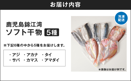 鹿児島 錦江湾 の ソフト 干物 5種 セット K295-001 魚 冷凍