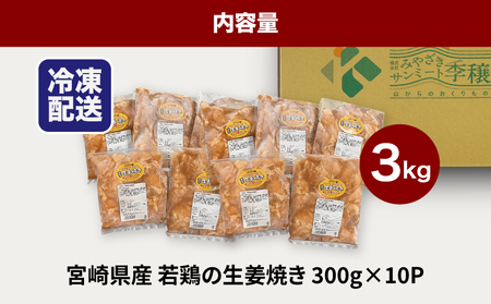 宮崎県産若鶏の生姜焼き 小分け 3㎏　K16_0132