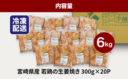 宮崎県産若鶏の生姜焼き 小分け 6㎏_K16_0133_1