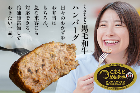 ビッグサイズ！くまもと 黒毛和牛 《 DREAMジャンボバーグ 500g×3パック 計1.5g 》 牛肉 100％ 国産 生 ボリューム ハンバーグ お祝い パーティ 熊本 ブランド牛 黒毛 和牛 上質 はんばーぐ 惣菜 熊本県 113-0509
