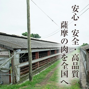 No.1151 鹿児島県産！黒豚ロース(計1.8kg・150g×12P) 国産 九州産 黒豚 豚肉 ロース トンテキ 冷凍 期間限定 小分け【コワダヤ】【687】【1150】