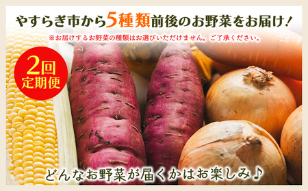 【２回定期便】野菜BOX ５種類前後 野菜の定期便 野菜の定期便 野菜の定期便 Wyr-0028