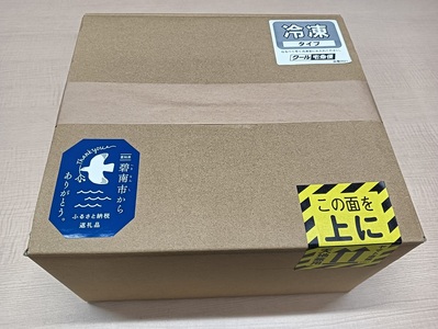 【食べられるお守り】三州鬼瓦アイスもなか （12個セット） バニラ ショコラ 個包装 最中 縁起物 ギフト プレゼント お土産 お歳暮 お試し H104-040