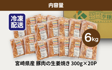 簡単調理 宮崎県産豚肉の生姜焼き 6㎏_K16_0148_1