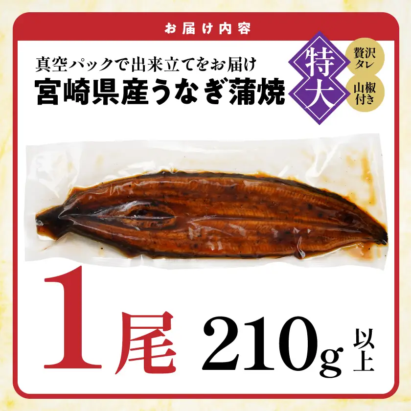 宮崎県育ちの【特大】うなぎ蒲焼1尾210g以上≪山椒・たれ付≫〔11-M301〕_(都城市)  特大うなぎ蒲焼(有頭) 宮崎県産 真空 山椒・たれ付