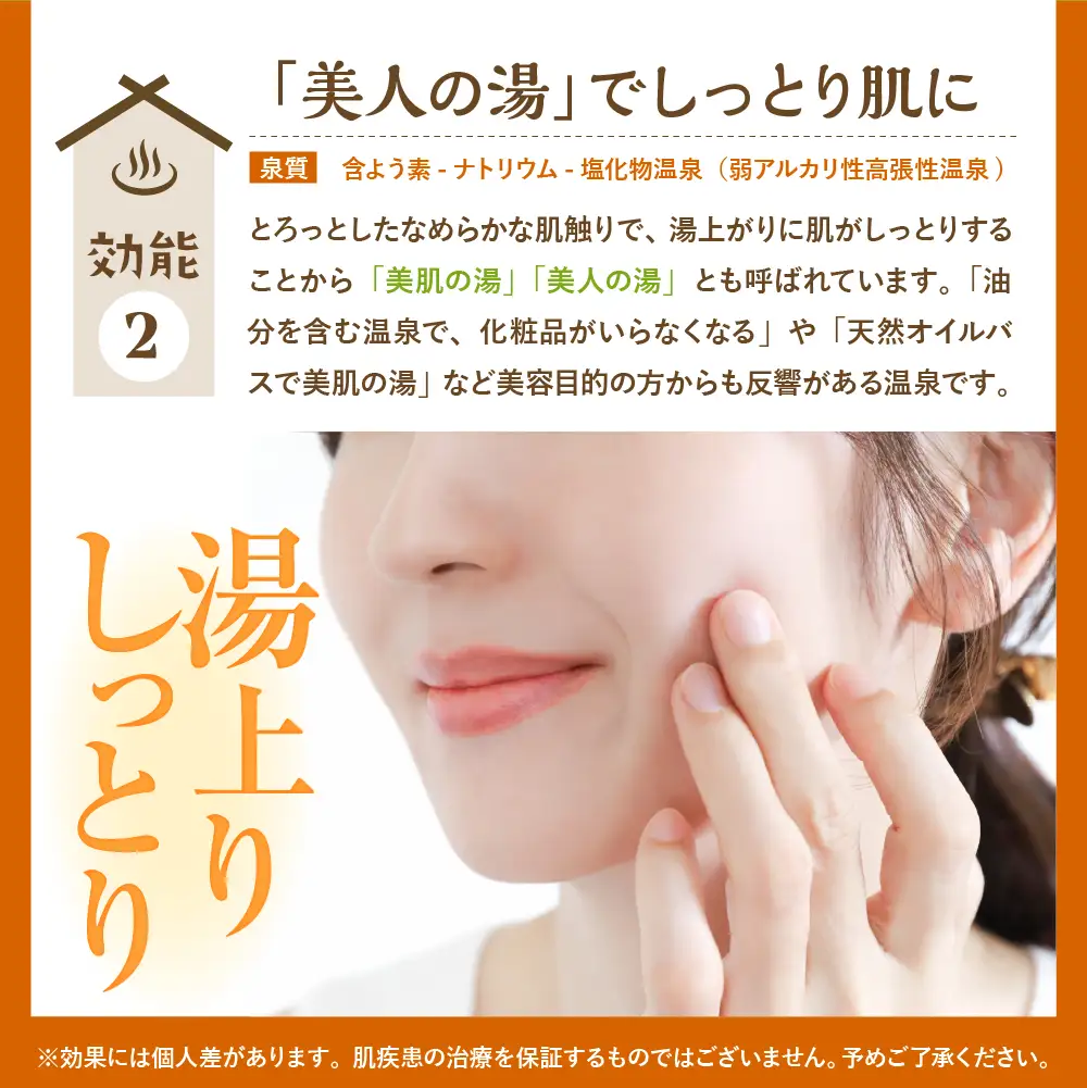 豊富温泉 ふれあいセンター 入浴券 大人用 8回分