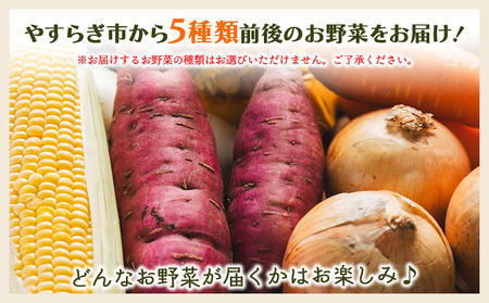 野菜 5種類前後【野菜 野菜 野菜 野菜 野菜 野菜 野菜】 yr-0027