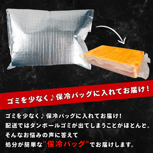 塊 ベーコンブロック 3kg 大容量ベーコン 厚切りベーコン ベーコン ベーコン ベーコン ベーコン echigohamu003-03_01