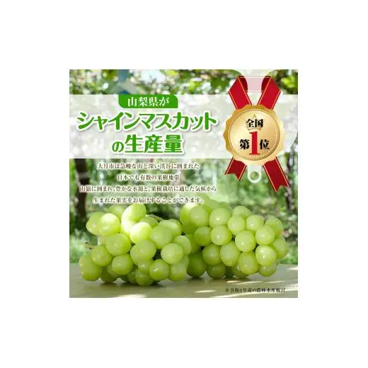 シャインマスカット　600g　2026年先行予約分　シャインマスカット
