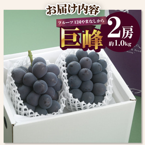 【ふるなび限定】〈2026年度配送分〉巨峰2房（約1.0kg） FN-Limited-SP