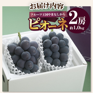〈2026年度配送分〉ピオーネ2房（約1.0kg） ピオーネ 大粒 山梨 県産 先行予約 2026年 ぶどう フルーツ 2房 冷蔵 生産量 日本一 甲府 市産 1.0kg以上 フルーツ王国山梨 2026年8月上旬～8月下旬にかけて順次発送