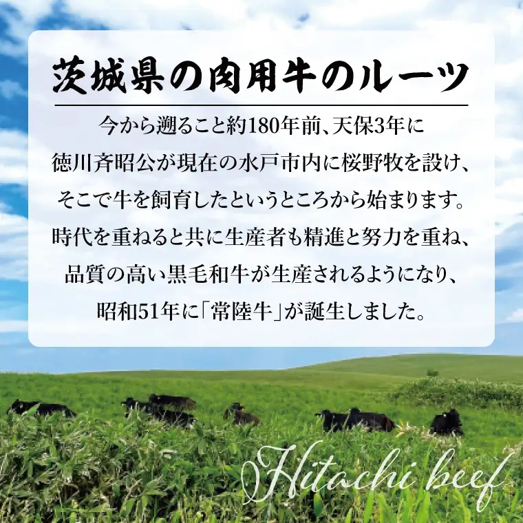 【数量限定】常陸牛切り落とし 約1kg（500g×2p）（BG-20）