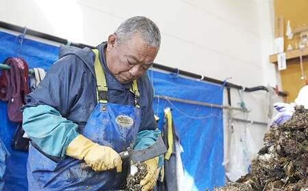 吉田水産のむき身牡蠣 Mサイズ 300g＋殻付き牡蠣2個 セット