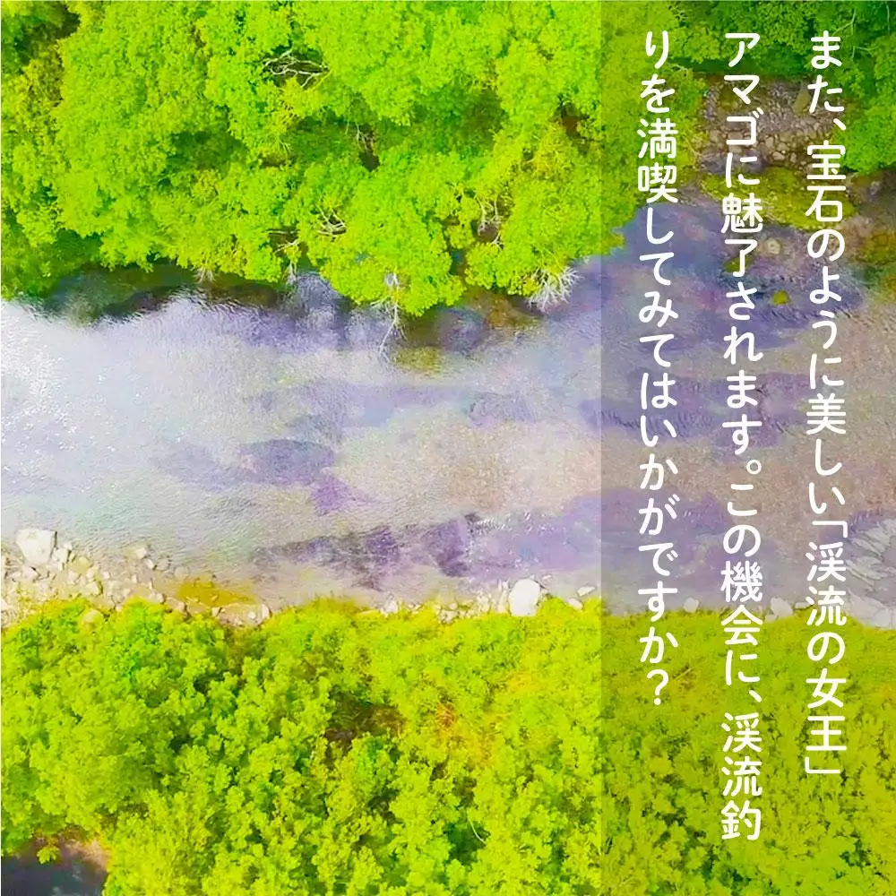 2026年度 日置川アマゴ遊漁券（一年券）