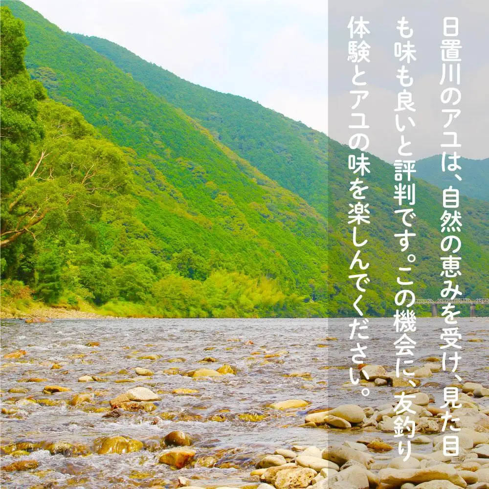 2026年度 日置川アユ遊漁券（一年券）