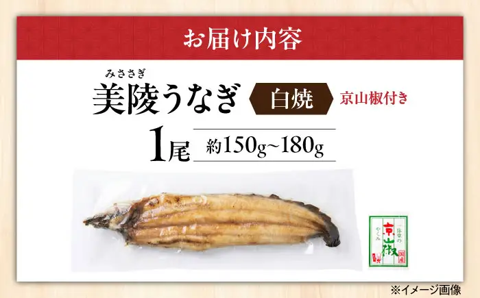 【お中元対象】鰻 鰻の白焼 1尾 BLAM002
