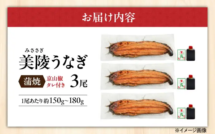 【お中元対象】鰻 鰻の蒲焼 3尾 BLAM006