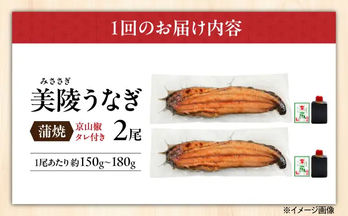 【全6回】鰻 鰻の蒲焼 2尾 BLAM008