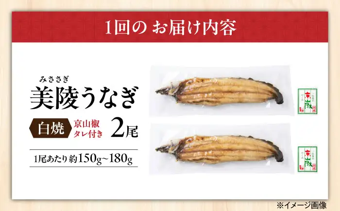 【全6回】鰻 鰻の白焼 2尾 BLAM009