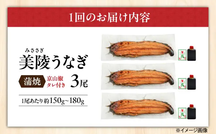 【全6回】鰻 鰻の蒲焼 3尾 BLAM011
