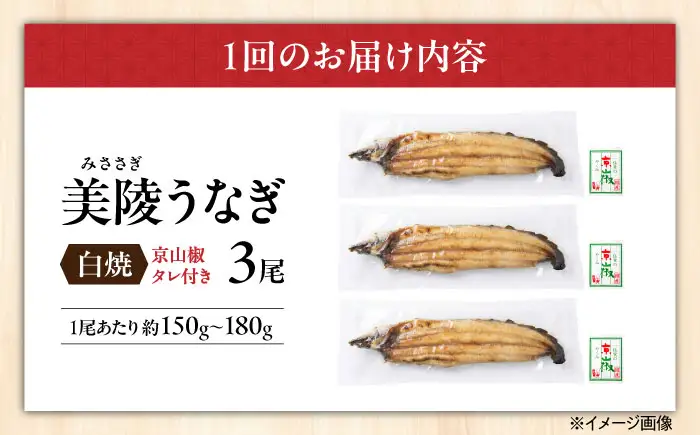 【全6回】鰻 鰻の白焼 3尾 BLAM012