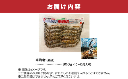 活き〆冷凍車海老LLサイズ【配送不可地域：離島】【1186180】