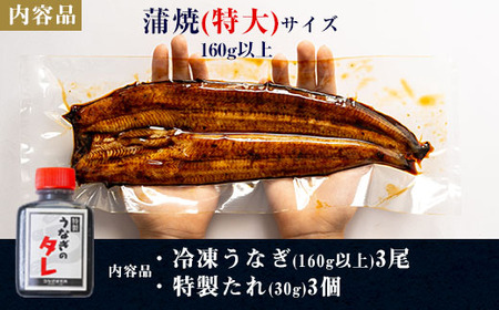 三河一色産うなぎ蒲焼特大3尾(計480g以上)・R008