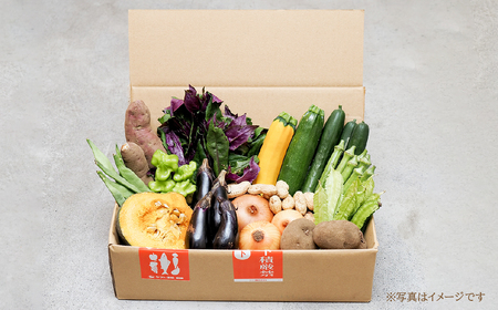 ＜6ヵ月定期便＞旬の野菜詰め合わせ 7～8種 | 野菜セット 詰め合わせ 定期便