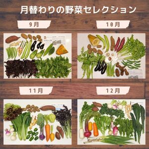 ＜6ヵ月定期便＞旬の野菜詰め合わせ 7～8種 | 野菜セット 詰め合わせ 定期便