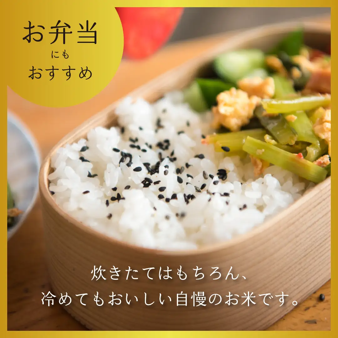 コシヒカリ 15kg  令和7年産 【幻の米】コシヒカリ 長野県 飯山市 7-75
