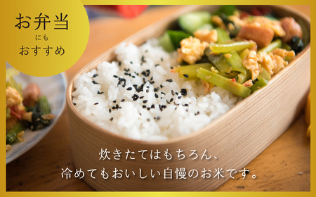 コシヒカリ 5kg 令和7年産【幻の米】コシヒカリ 長野県飯 山市（7-73）