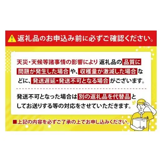 アップルマンゴー 約2kg(3～6玉)(家庭用) 