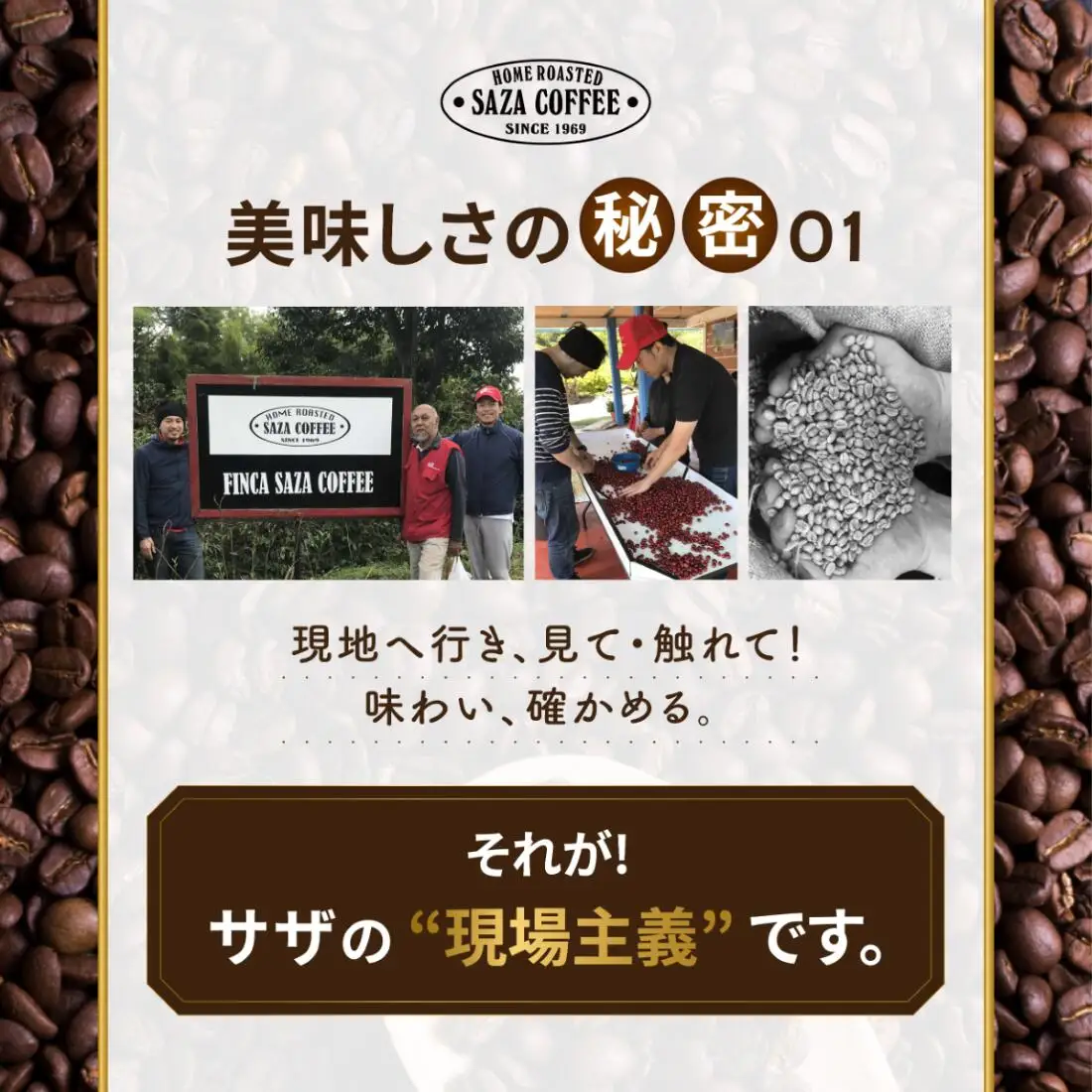 サザコーヒー カップオン ケニア 12g×50P(114071)_飲料・ドリンク 粉 コーヒー・コーヒー豆 珈琲 珈琲豆_【1559727】