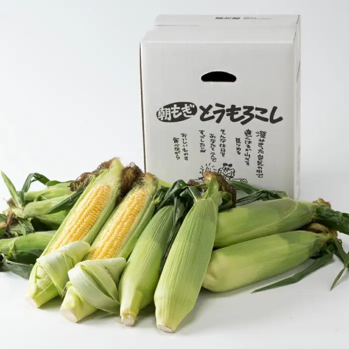 【先行予約】黄金色で大粒 ゴールドラッシュ 8本 3.2kg（2026年8月下旬から発送開始予定）| とうもろこし とうもろこし 北海道 限定_04560