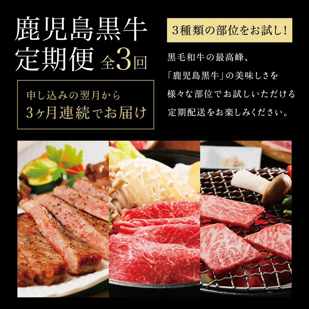【JA食肉かごしま】鹿児島黒牛お試し定期便（全3回） 和牛日本一の「鹿児島黒牛」 お肉 ステーキ すき焼き しゃぶしゃぶ 国産 黒毛和牛 和牛 牛肉 冷凍 定期便 JA食肉かごしま 南さつま市