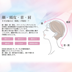 デンキブラシ モッサーモ 電気ブラシ 軽量 頭皮ケア ブラシ 頭皮ケアマッサージ 頭皮ケアマッサージグッズ マッサージ 電化製品 美容 