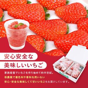 【冷凍】 いちごスムージー（紅ほっぺ）300g×6個  苺 フルーツ◇