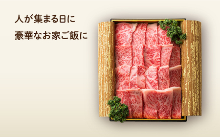 【6回定期便】 長崎和牛 焼肉 ロース 約500g [ECT019]  国産 長崎和牛 和牛 ロース ろーす 焼き肉 牛肉 冷凍 ソース付き ギフト お祝い 定期 定期便