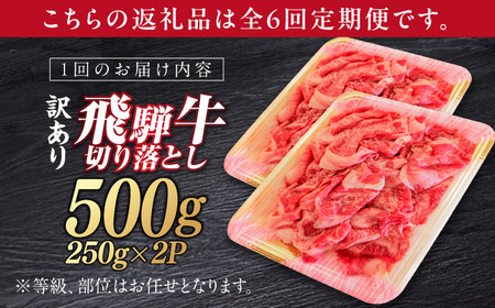 【6回定期便】 飛騨牛 切り落とし 250g×2パック 計500g 等級 部位お任せ すき焼き 鍋 スライス 牛肉 岐阜市 / だるまミート[ANBE015]