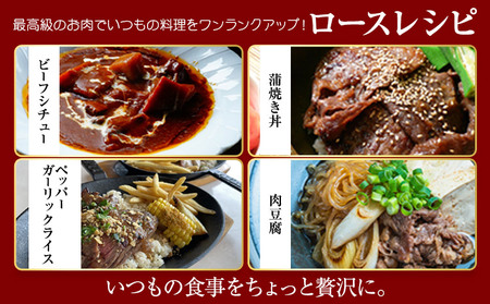 博多和牛 ロース 並 500g 株式会社寛大グループ 《30日以内に出荷予定(土日祝除く)》 肉 福岡県 小竹町 にく