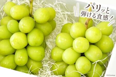【2026年発送】ぶどう  シャインマスカット 予約 約 500g 2房  計約 1kg [Inakakara 山梨県 韮崎市 20745256]