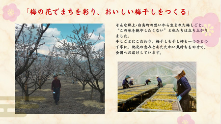 郡上延年梅ギフト 梅干し・赤しそのセット 梅 うめ 梅 うめ