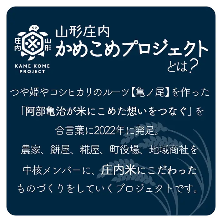 山形庄内かめこめプロジェクト 冷凍つや姫だんご 3本（個包装）