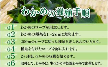 【訳あり】【天然・養殖】漁師が育てた 乾燥わかめ 5袋 小浜市 / 釣り船・民宿かどの [BFBG006]