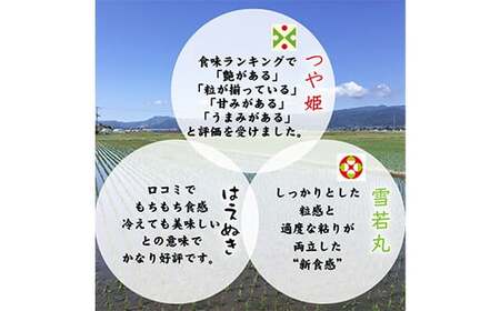 《先行予約 2026年8月発送開始》 山形県の至高！ 山形県厳選 新米・フルーツ定期便 全3回 マスカット ぶどう ブドウ 葡萄 デザート フルーツ 果物 くだもの 果実 食品 山形県 FSY-2454