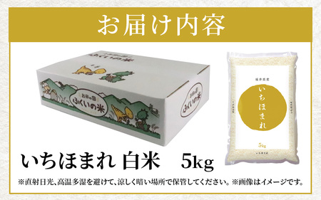 【令和7年産】福井県産 いちほまれ（白米）5kg [A-097001]