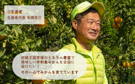 訳あり ポンカン 約10kg 協徳ガーデン 先行予約 予約受付 訳アリ わけあり ぽんかん 甘い 濃厚 ジューシー 果物 くだもの フルーツ 柑橘 みかん mikan 宇和島みかん 愛媛蜜柑 愛媛ミカン ミカン 蜜柑 農家直送 産地直送 数量限定 国産 愛媛 宇和島 B010-178005