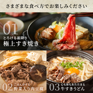 神戸牛 切落とし 250g×6P 計1.5kg 神戸牛スライス 牛肉 肉 小分け